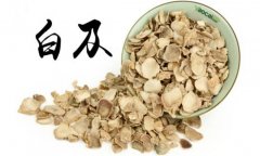 白及的產(chǎn)地是哪里？白及的用法、用量與禁忌