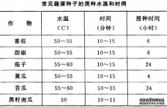 怎樣進行蔬菜種子消毒處理