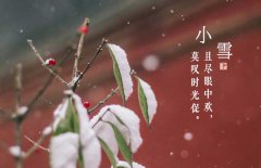 小雪節(jié)氣是什么意思，小雪節(jié)氣吃什么食品？