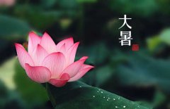 大暑是幾月幾日，大暑的節(jié)日民俗的哪些？