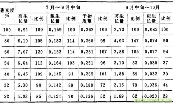 杉木對光照的要求怎樣