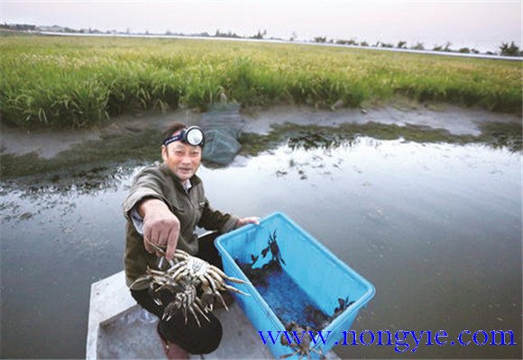 水源充足、水質(zhì)清新無污染