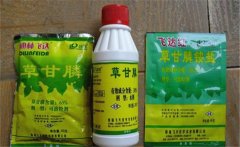 草甘膦除草劑使用范圍，使用多久能生效？