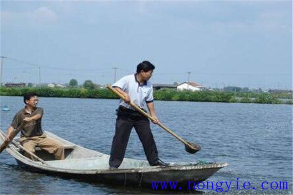 魚(yú)池施肥需要注意的因素