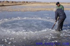 越冬魚池的水體環(huán)境是怎樣的？