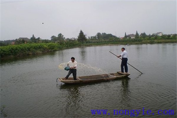 全池潑灑法