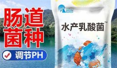 水產乳酸菌什么時間使用效果好 需注意哪些事項