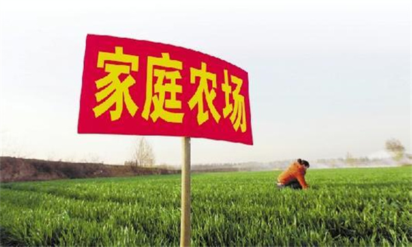 家庭農(nóng)場(chǎng)要通過(guò)實(shí)現(xiàn)專(zhuān)業(yè)化生產(chǎn)