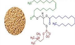 大豆異黃酮對人體有什么好處 什么食物含量多？