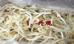 如何挑選豆芽？有根豆芽與無根豆芽有什么區(qū)別